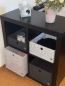 Preview: CARGA-Boxen im IKEA KALLAX Regal